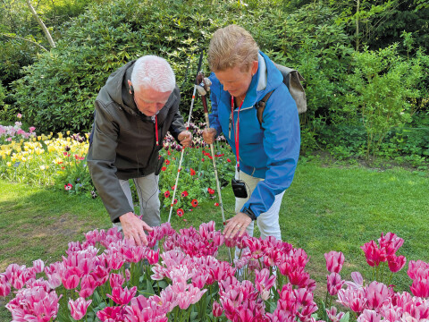 Wim en Hermine Pierik op bezoek in de Keukenhof